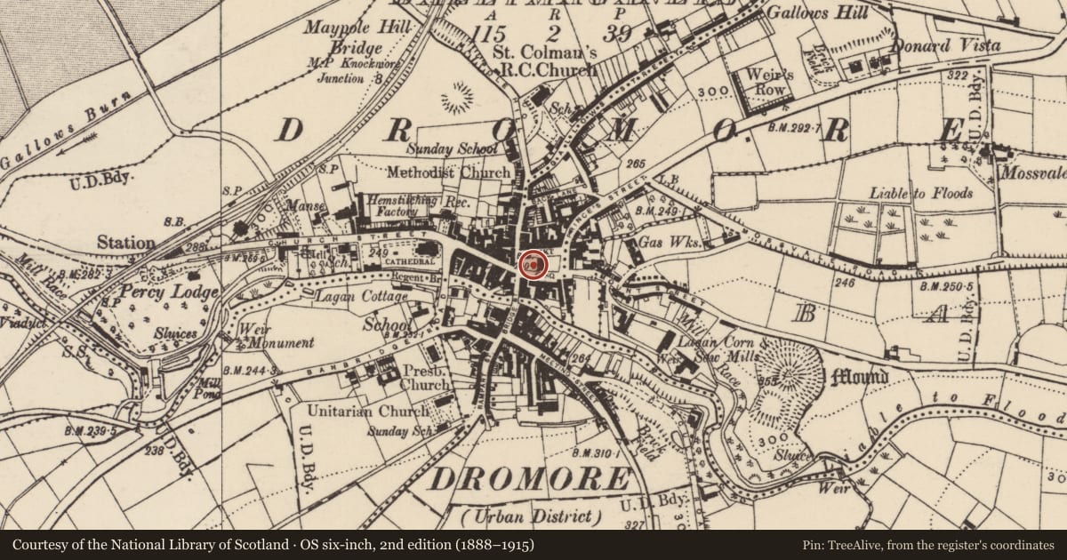 Ordnance Survey six-inch map, 2nd edition (1888–1915) covering the location of Town Stocks, Balleny, Armagh City, Banbridge and Craigavon, with a pin at the register's coordinates