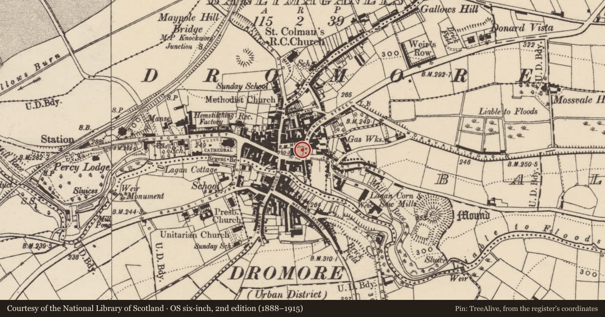 Ordnance Survey six-inch map, 2nd edition (1888–1915) covering the location of War Memorial, Ballymaganlis, Armagh City, Banbridge and Craigavon, with a pin at the register's coordinates