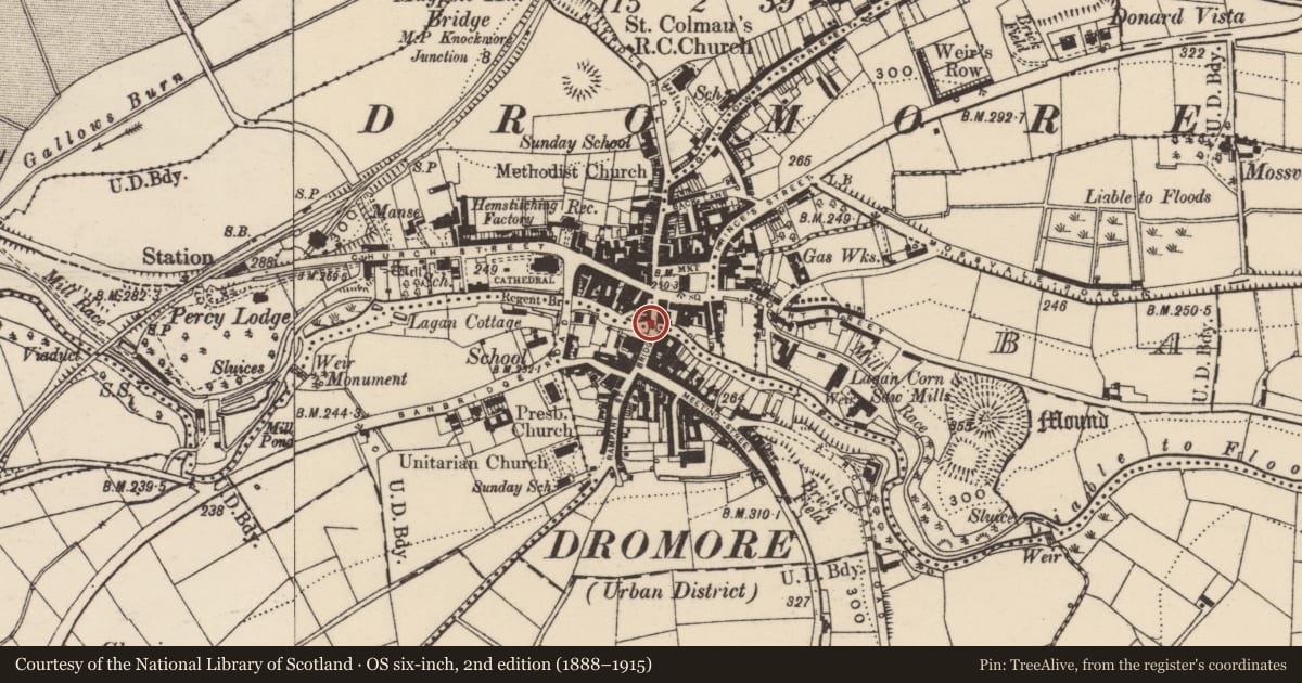 Ordnance Survey six-inch map, 2nd edition (1888–1915) covering the location of Downshire Bridge, Ballymaganlis Drumbroneth, Armagh City, Banbridge and Craigavon, with a pin at the register's coordinates
