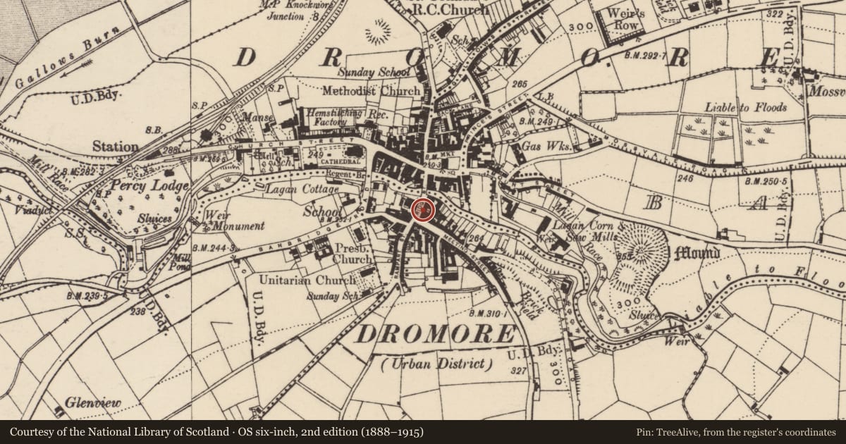 Ordnance Survey six-inch map, 2nd edition (1888–1915) covering the location of 17 Bridge Street, Armagh City, Banbridge and Craigavon, with a pin at the register's coordinates