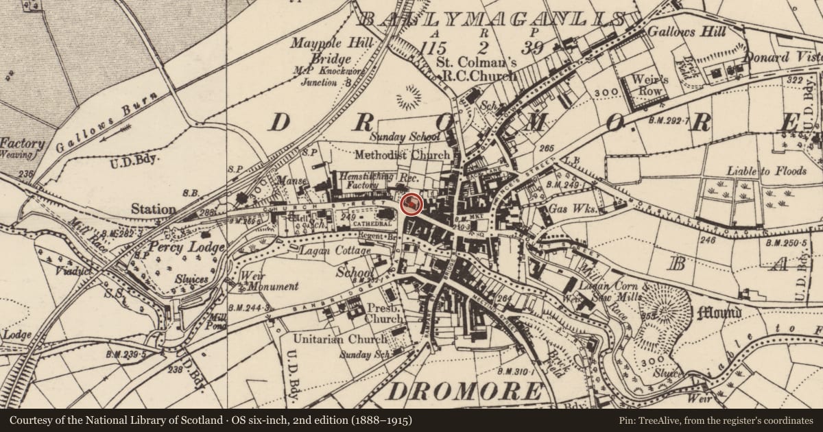Ordnance Survey six-inch map, 2nd edition (1888–1915) covering the location of Northern Bank, Balleny, Armagh City, Banbridge and Craigavon, with a pin at the register's coordinates