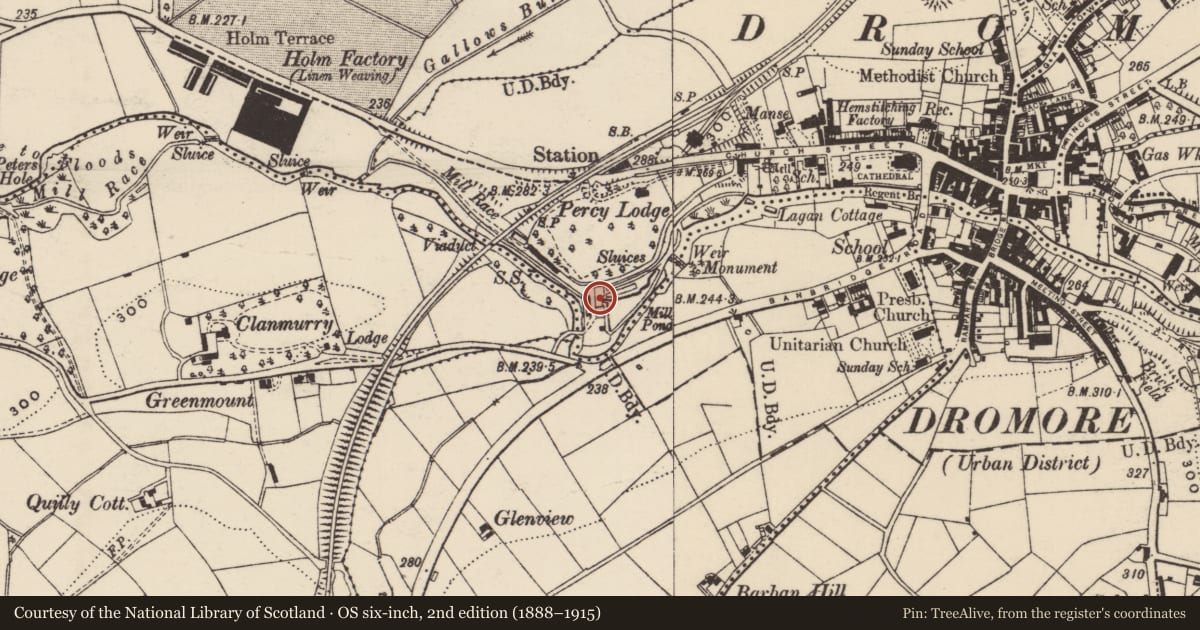 Ordnance Survey six-inch map, 2nd edition (1888–1915) covering the location of Old Flax Mill, Armagh City, Banbridge and Craigavon, with a pin at the register's coordinates