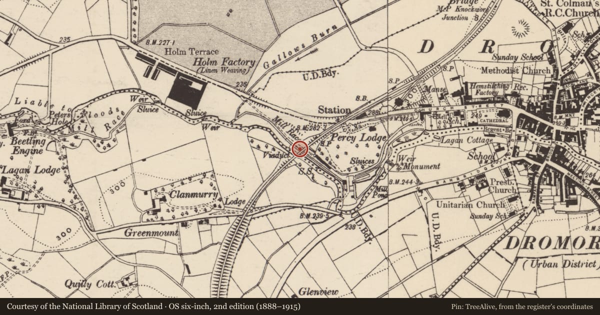 Ordnance Survey six-inch map, 2nd edition (1888–1915) covering the location of Dromore Viaduct, Ballymaganlis Quilly, Armagh City, Banbridge and Craigavon, with a pin at the register's coordinates