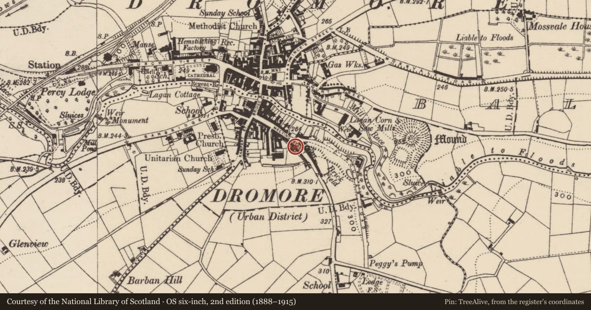 Ordnance Survey six-inch map, 2nd edition (1888–1915) covering the location of 46 Meeting Street, Drumbroneth, Armagh City, Banbridge and Craigavon, with a pin at the register's coordinates