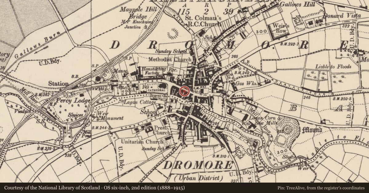 Ordnance Survey six-inch map, 2nd edition (1888–1915) covering the location of Ulster Bank, Balleny, Armagh City, Banbridge and Craigavon, with a pin at the register's coordinates