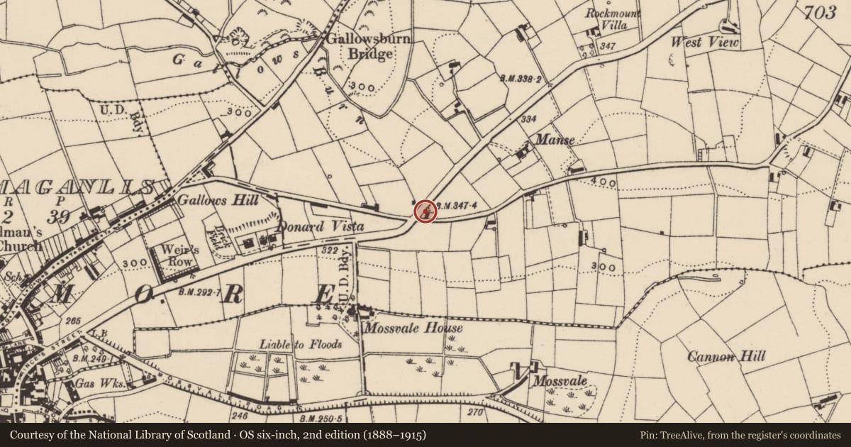 Ordnance Survey six-inch map, 2nd edition (1888–1915) covering the location of 36 Ballymacormick Road, Armagh City, Banbridge and Craigavon, with a pin at the register's coordinates