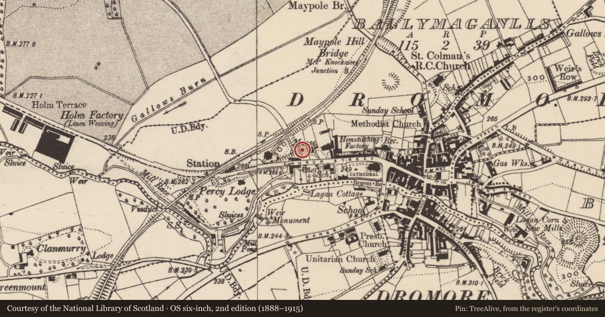 Ordnance Survey six-inch map, 2nd edition (1888–1915) covering the location of Ashdane, Armagh City, Banbridge and Craigavon, with a pin at the register's coordinates