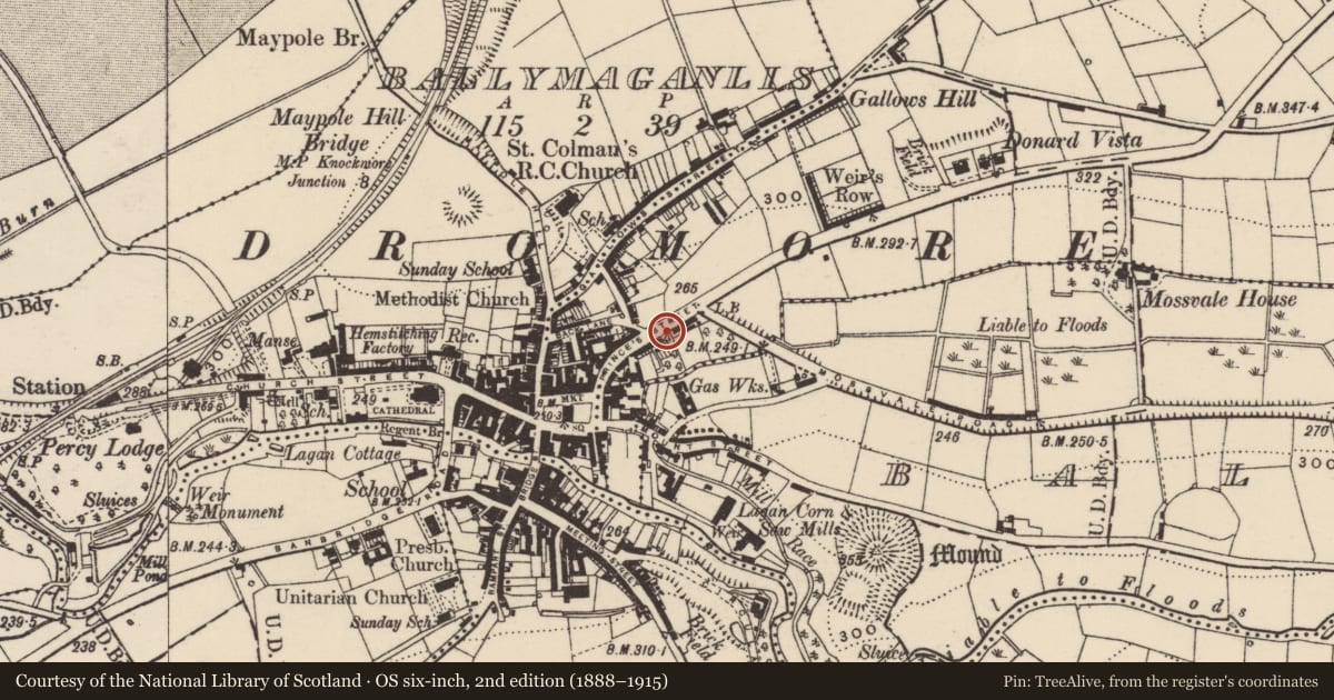 Ordnance Survey six-inch map, 2nd edition (1888–1915) covering the location of 38 Prince?s Street, Armagh City, Banbridge and Craigavon, with a pin at the register's coordinates