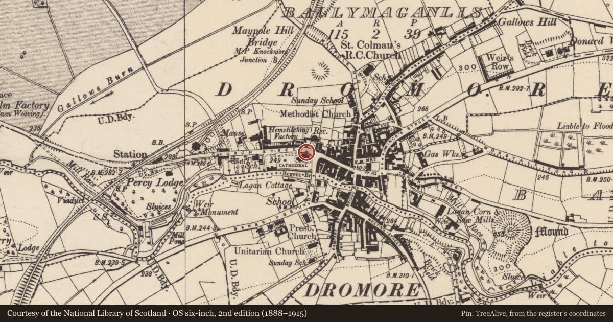 Ordnance Survey six-inch map, 2nd edition (1888–1915) covering the location of Dromore Cross, Armagh City, Banbridge and Craigavon, with a pin at the register's coordinates
