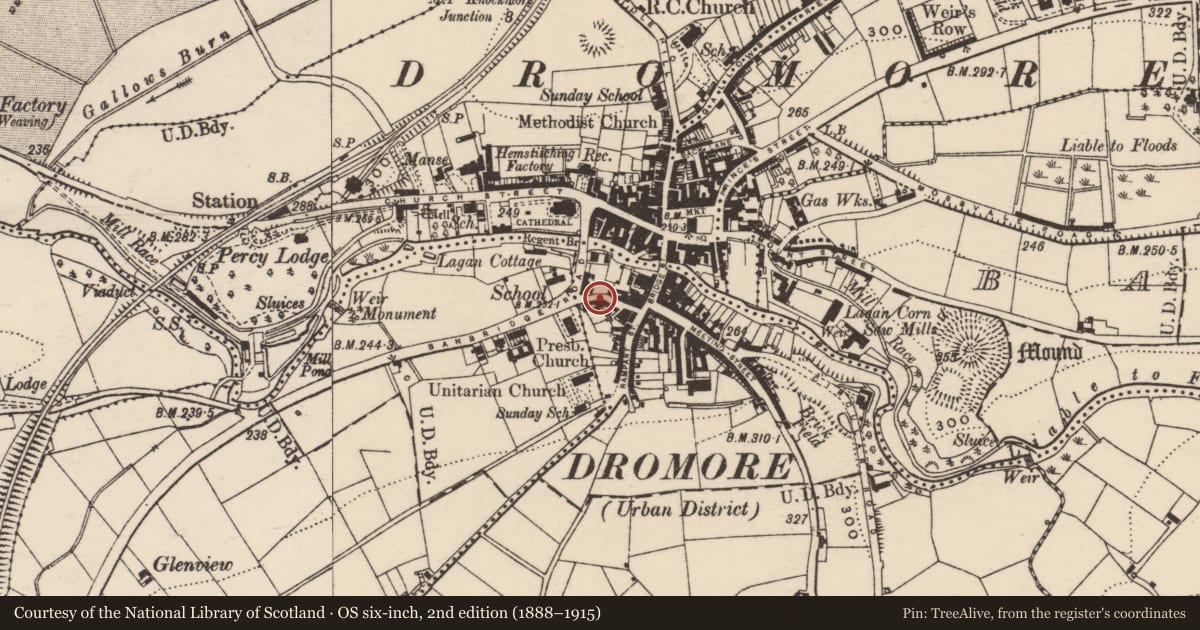 Ordnance Survey six-inch map, 2nd edition (1888–1915) covering the location of Dromore Castle, Armagh City, Banbridge and Craigavon, with a pin at the register's coordinates