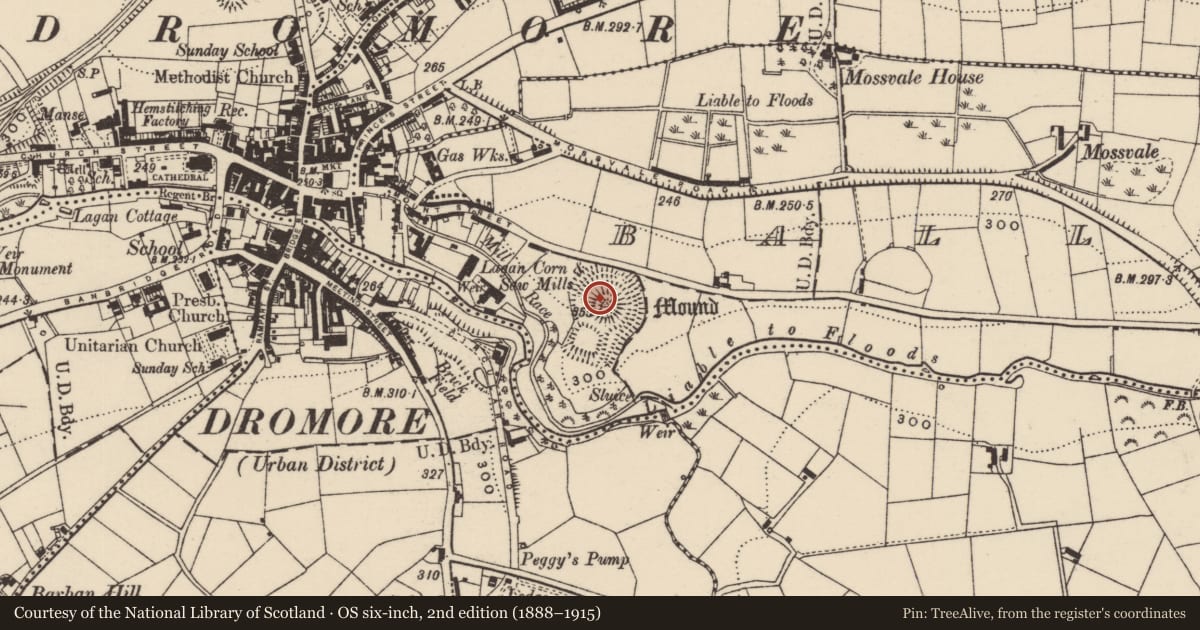 Ordnance Survey six-inch map, 2nd edition (1888–1915) covering the location of Motte and Bailey, Armagh City, Banbridge and Craigavon, with a pin at the register's coordinates