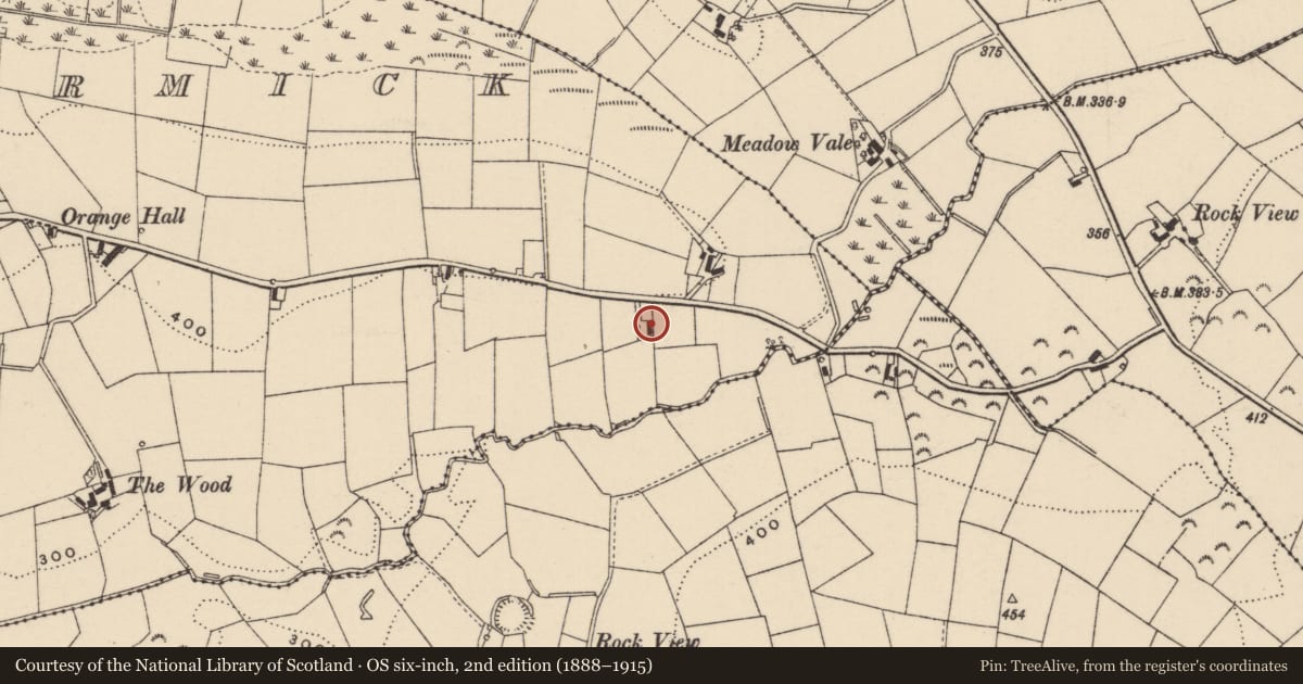 Ordnance Survey six-inch map, 2nd edition (1888–1915) covering the location of 104 Ballymacormick Road, Armagh City, Banbridge and Craigavon, with a pin at the register's coordinates