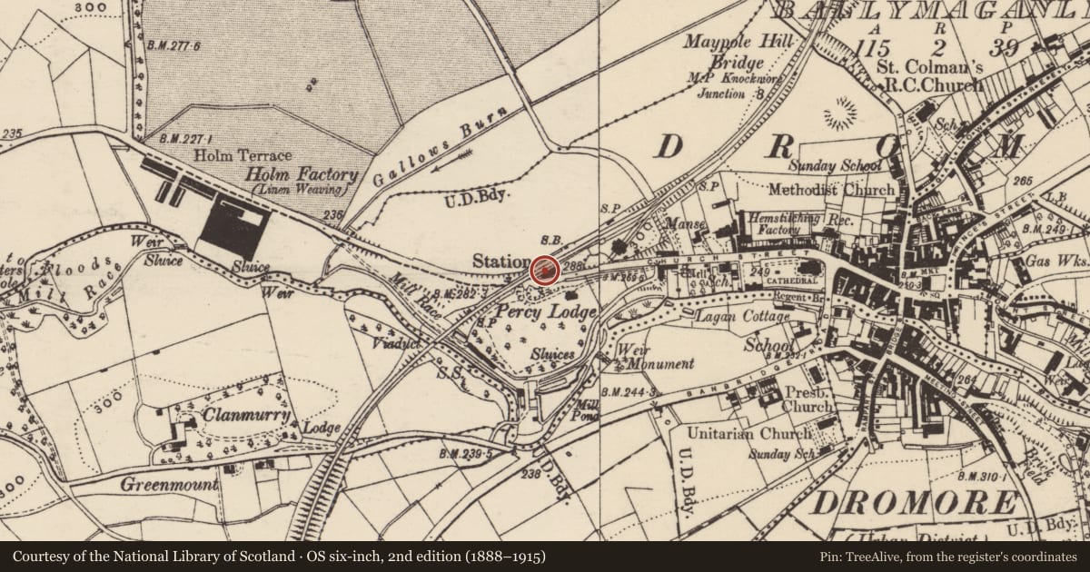 Ordnance Survey six-inch map, 2nd edition (1888–1915) covering the location of Railway Station Complex, Armagh City, Banbridge and Craigavon, with a pin at the register's coordinates