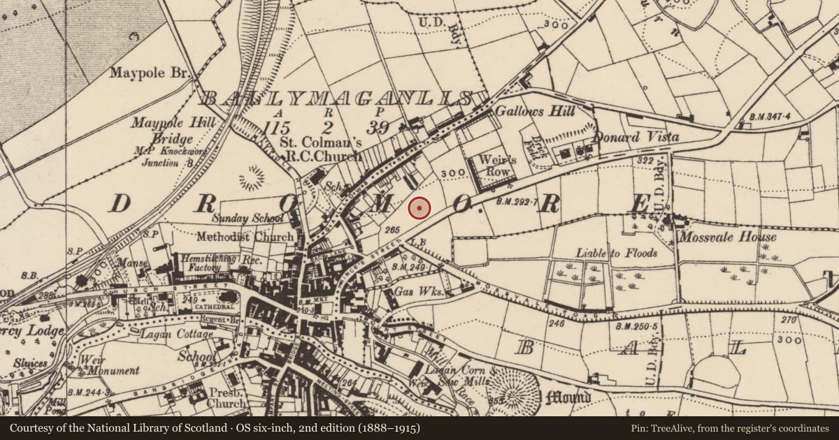 Ordnance Survey six-inch map, 2nd edition (1888–1915) covering the location of Memorial Masonic Hall, Ballymacormick, Armagh City, Banbridge and Craigavon, with a pin at the register's coordinates