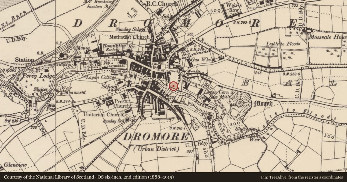 Ordnance Survey six-inch map, 2nd edition (1888–1915) covering the location of Large shed at builders' yard ('John Graham Construction'), Drumbroneth, Armagh City, Banbridge and Craigavon, with a pin at the register's coordinates