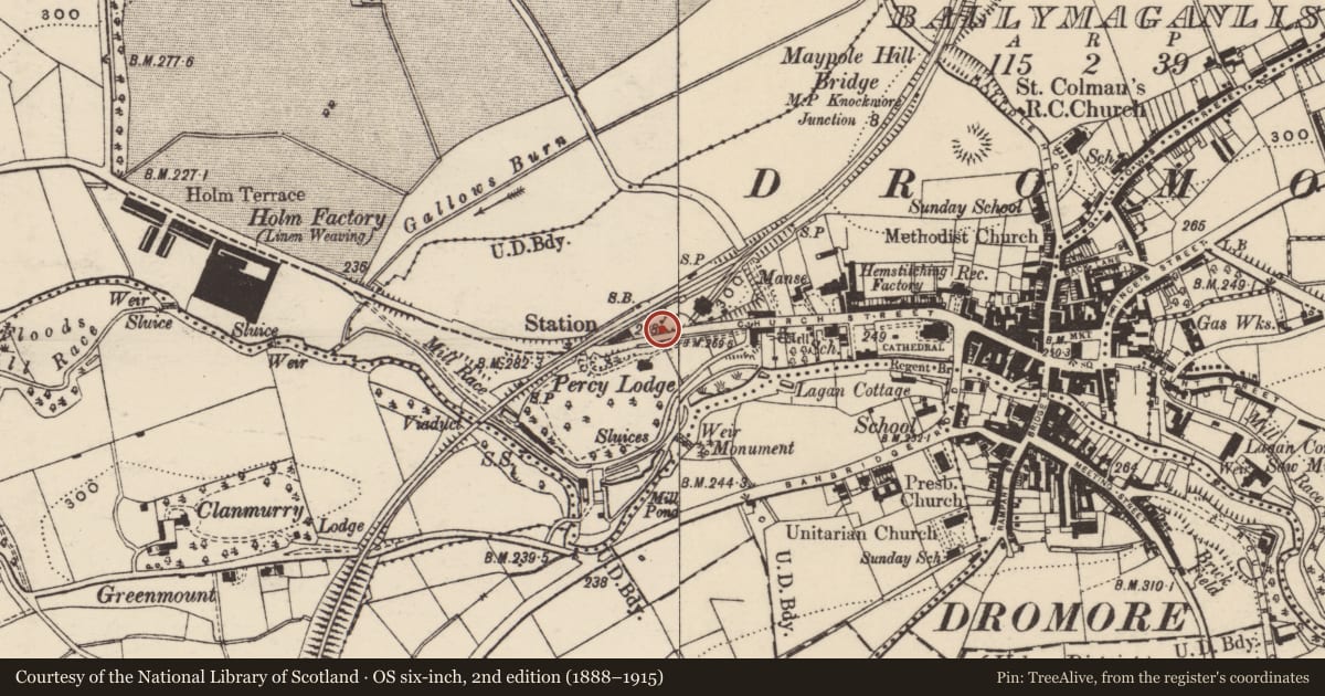 Ordnance Survey six-inch map, 2nd edition (1888–1915) covering the location of Former stationmaster's house, Ballymaganlis, Armagh City, Banbridge and Craigavon, with a pin at the register's coordinates