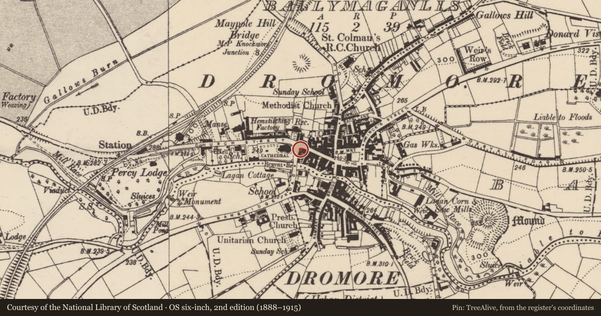 Ordnance Survey six-inch map, 2nd edition (1888–1915) covering the location of 31 Banbridge Road, Ballymaganlis, Armagh City, Banbridge and Craigavon, with a pin at the register's coordinates