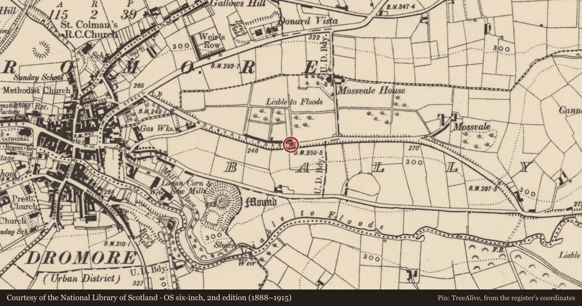 Ordnance Survey six-inch map, 2nd edition (1888–1915) covering the location of Stench Pipe, Ballyvicknacally, with a pin at the register's coordinates