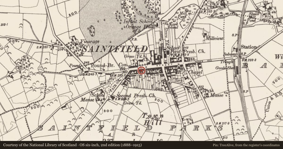Ordnance Survey six-inch map, 2nd edition (1888–1915) covering the location of 68 Main St., Newry, Mourne and Down, with a pin at the register's coordinates