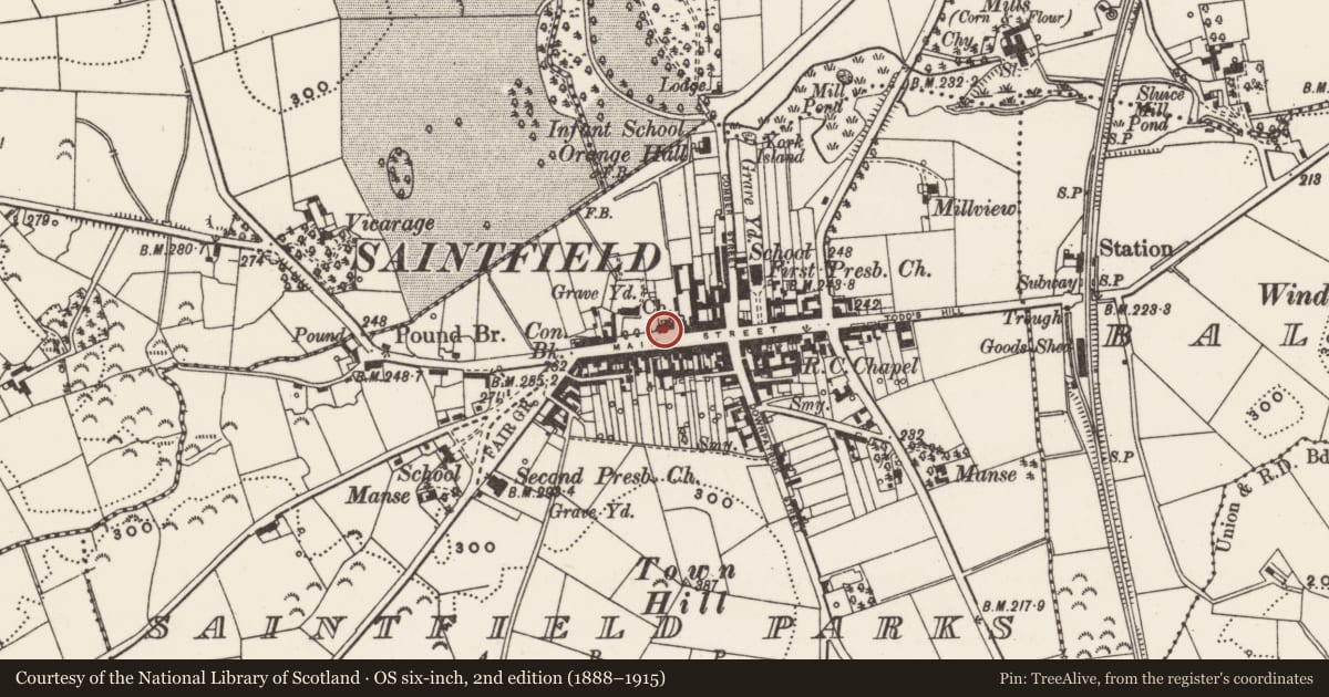 Ordnance Survey six-inch map, 2nd edition (1888–1915) covering the location of Old Court House, Newry, Mourne and Down, with a pin at the register's coordinates