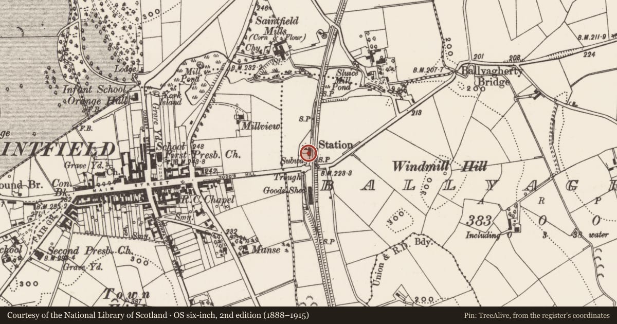 Ordnance Survey six-inch map, 2nd edition (1888–1915) covering the location of Saintfield Station, Newry, Mourne and Down, with a pin at the register's coordinates