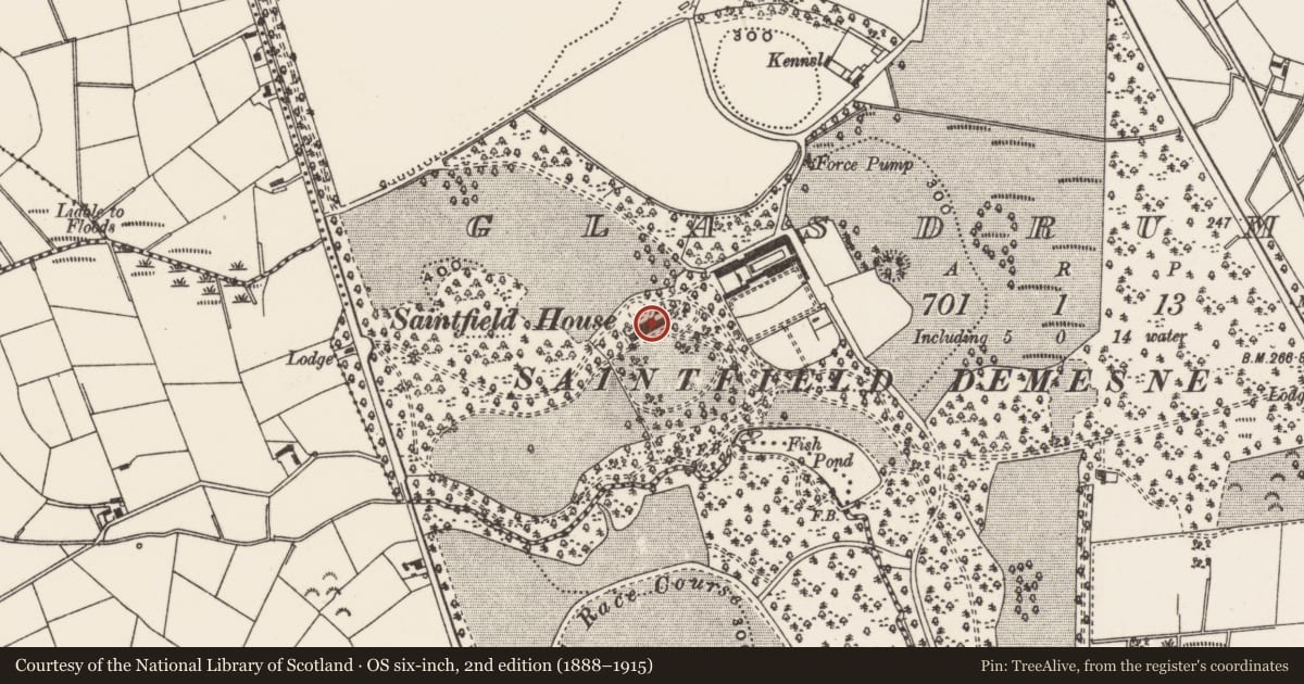 Ordnance Survey six-inch map, 2nd edition (1888–1915) covering the location of Wing Walls Of Saintfield House, Newry, Mourne and Down, with a pin at the register's coordinates