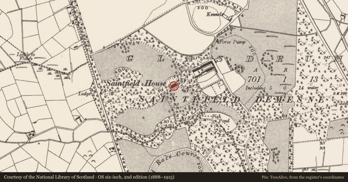 Ordnance Survey six-inch map, 2nd edition (1888–1915) covering the location of Saintfield House, Newry, Mourne and Down, with a pin at the register's coordinates