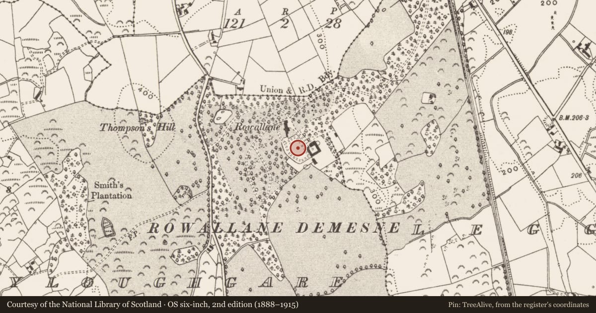Ordnance Survey six-inch map, 2nd edition (1888–1915) covering the location of ROWALLANE, Newry, Mourne and Down, with a pin at the register's coordinates