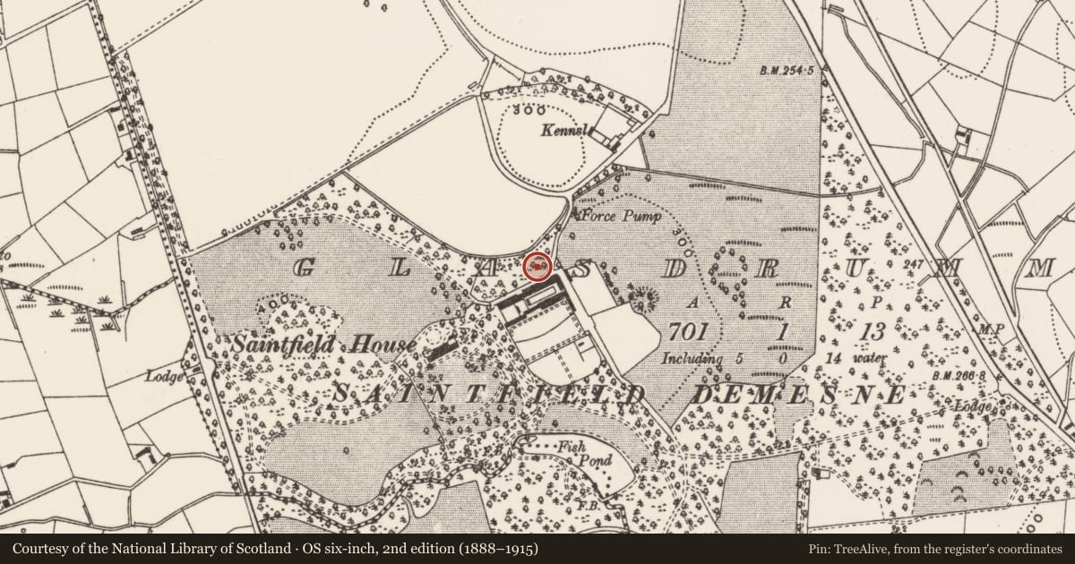 Ordnance Survey six-inch map, 2nd edition (1888–1915) covering the location of Ice House At Saintfield House, Newry, Mourne and Down, with a pin at the register's coordinates