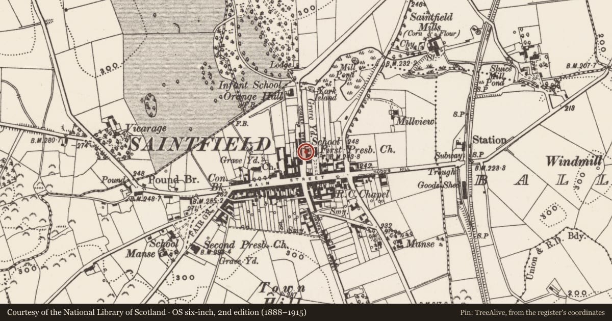 Ordnance Survey six-inch map, 2nd edition (1888–1915) covering the location of 3 Comber Street, Saintfield, Co Down, BT24 7AZ, Saintfield Parks, Newry, Mourne and Down, with a pin at the register's coordinates