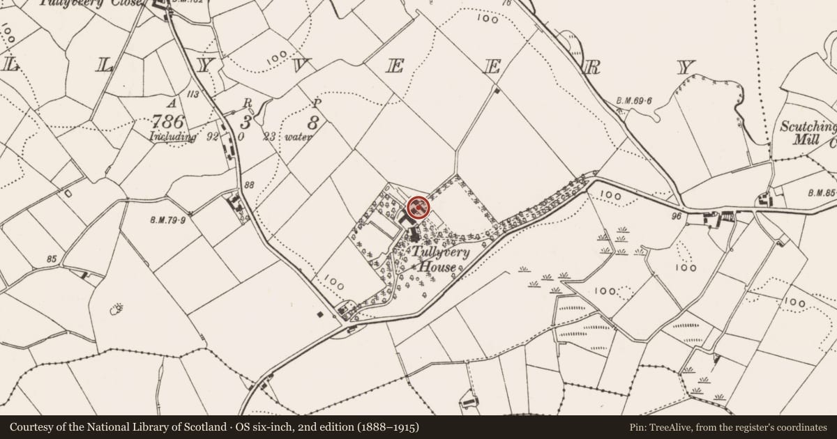 Ordnance Survey six-inch map, 2nd edition (1888–1915) covering the location of Outbuildings at Tullyveery House (calf house, cottage), Newry, Mourne and Down, with a pin at the register's coordinates