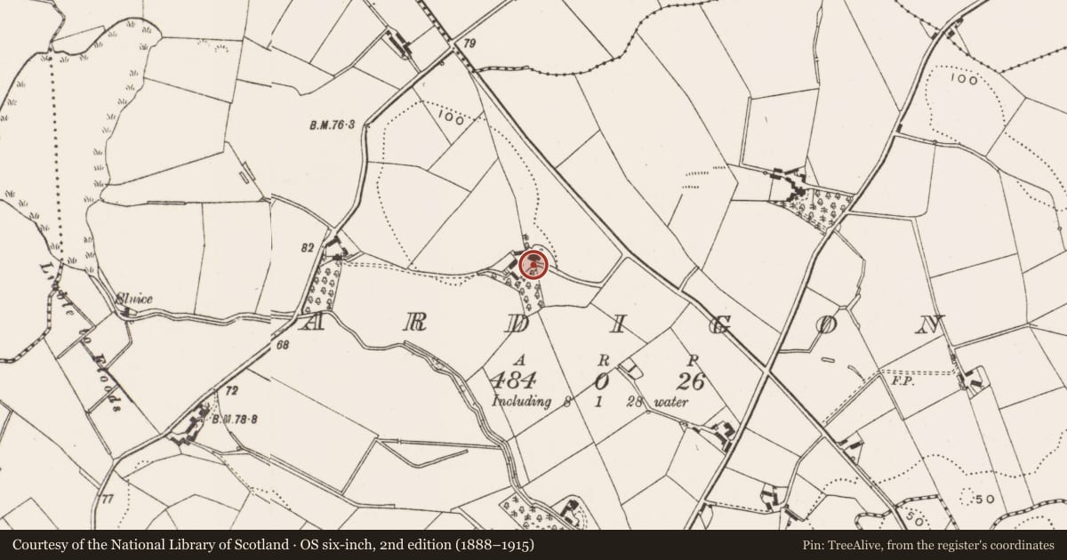 Ordnance Survey six-inch map, 2nd edition (1888–1915) covering the location of The Hill, Ardigon, Newry, Mourne and Down, with a pin at the register's coordinates