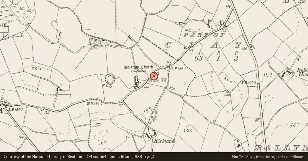Ordnance Survey six-inch map, 2nd edition (1888–1915) covering the location of Killaresy Church, Clay, Newry, Mourne and Down, with a pin at the register's coordinates