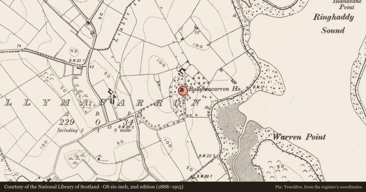 Ordnance Survey six-inch map, 2nd edition (1888–1915) covering the location of Ballymacarron House, Newry, Mourne and Down, with a pin at the register's coordinates