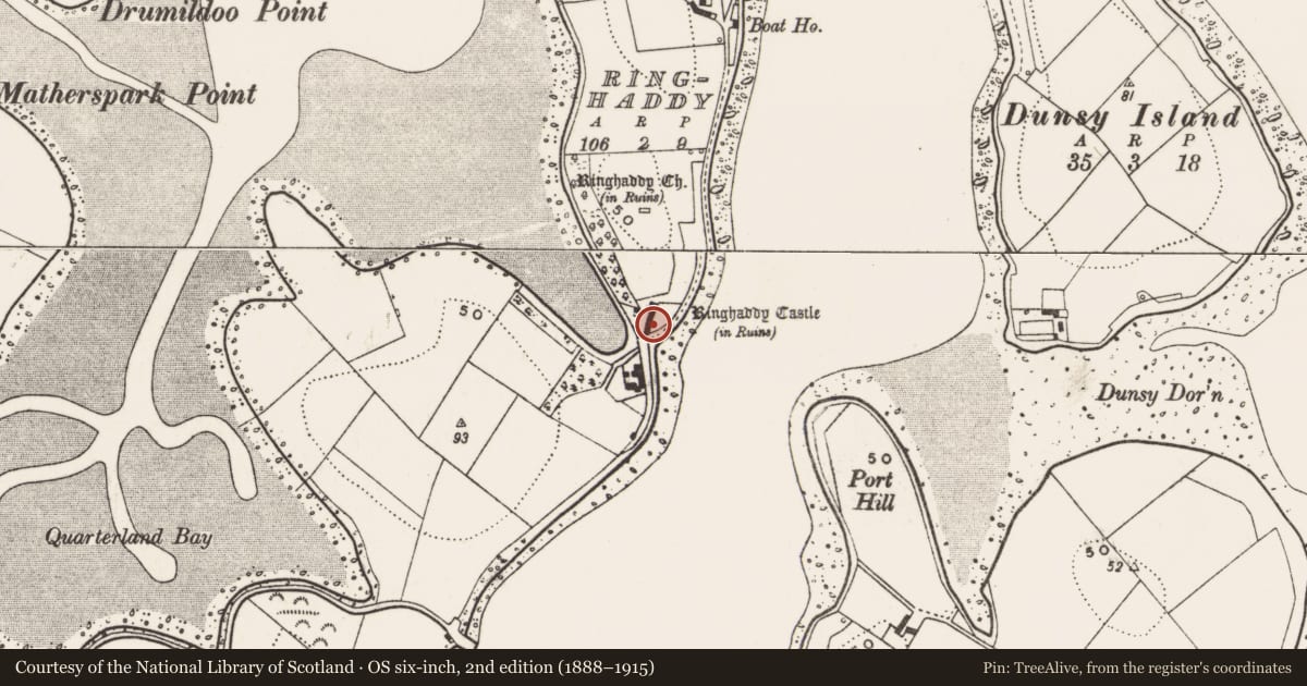 Ordnance Survey six-inch map, 2nd edition (1888–1915) covering the location of Ringhaddy Castle (Tower House), Newry, Mourne and Down, with a pin at the register's coordinates