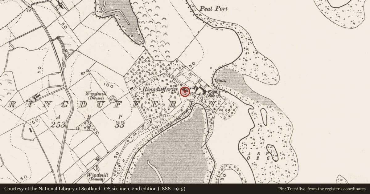 Ordnance Survey six-inch map, 2nd edition (1888–1915) covering the location of Site of Ringdufferin Castle, Newry, Mourne and Down, with a pin at the register's coordinates