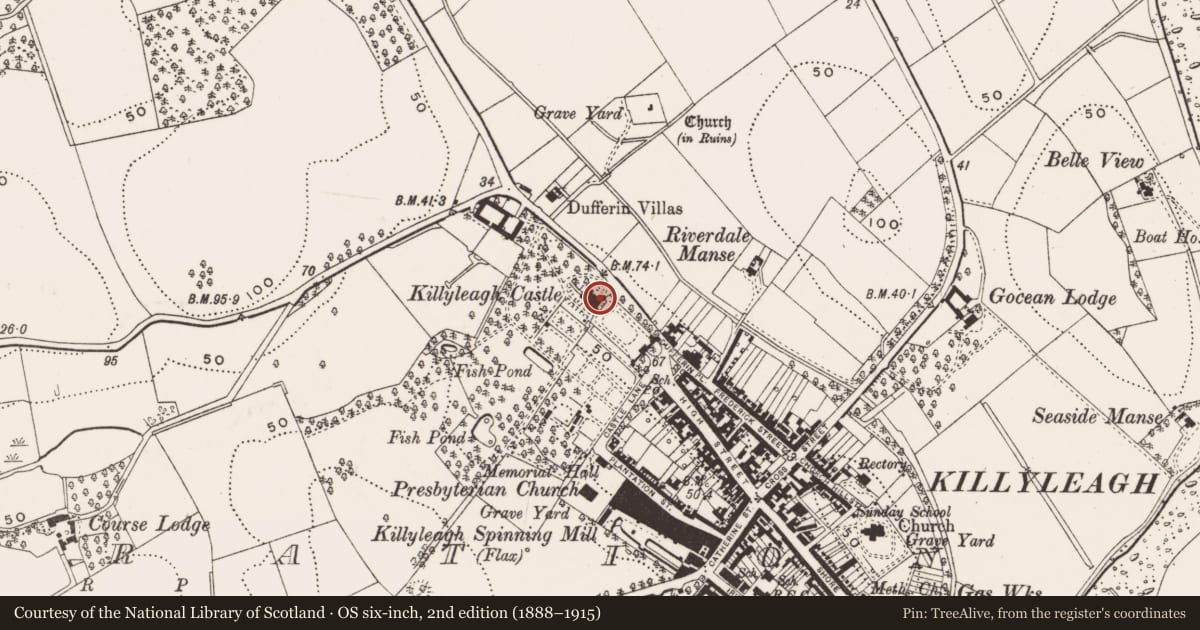 Ordnance Survey six-inch map, 2nd edition (1888–1915) covering the location of Killyleagh Castle, Newry, Mourne and Down, with a pin at the register's coordinates