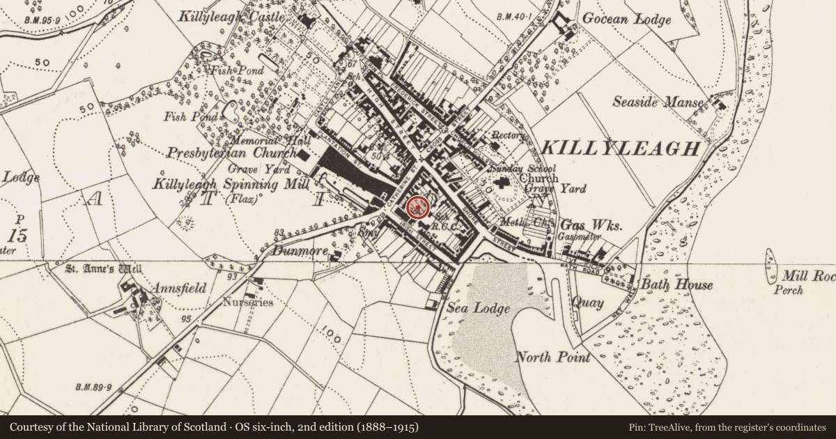 Ordnance Survey six-inch map, 2nd edition (1888–1915) covering the location of Plantation House, Newry, Mourne and Down, with a pin at the register's coordinates