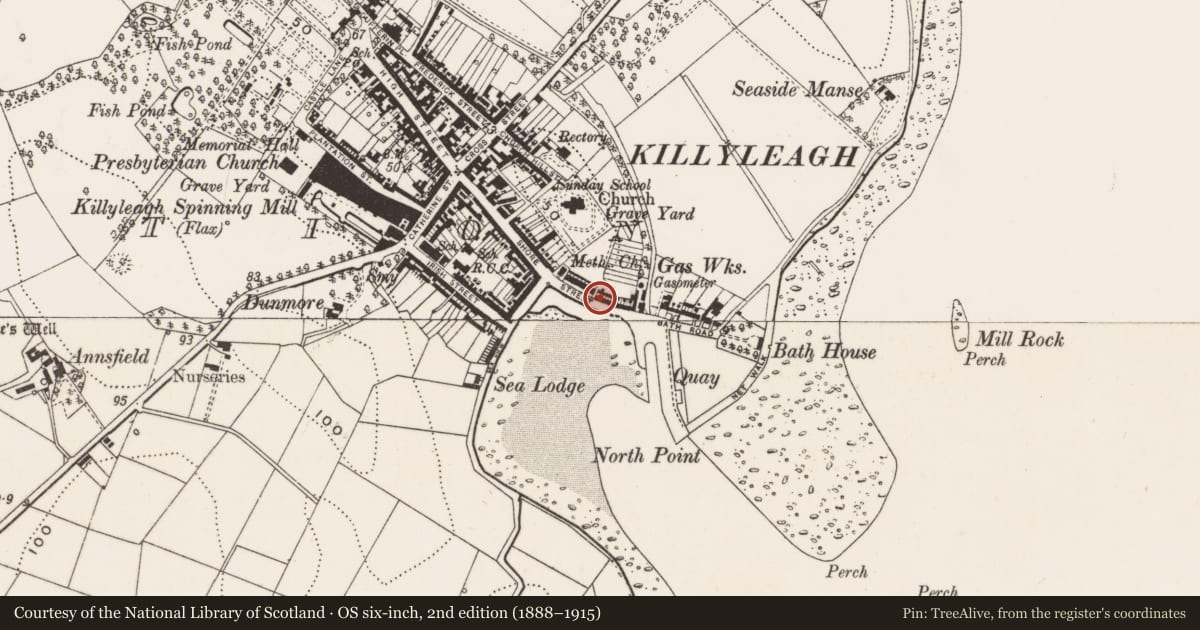 Ordnance Survey six-inch map, 2nd edition (1888–1915) covering the location of 80 Shore St., Newry, Mourne and Down, with a pin at the register's coordinates