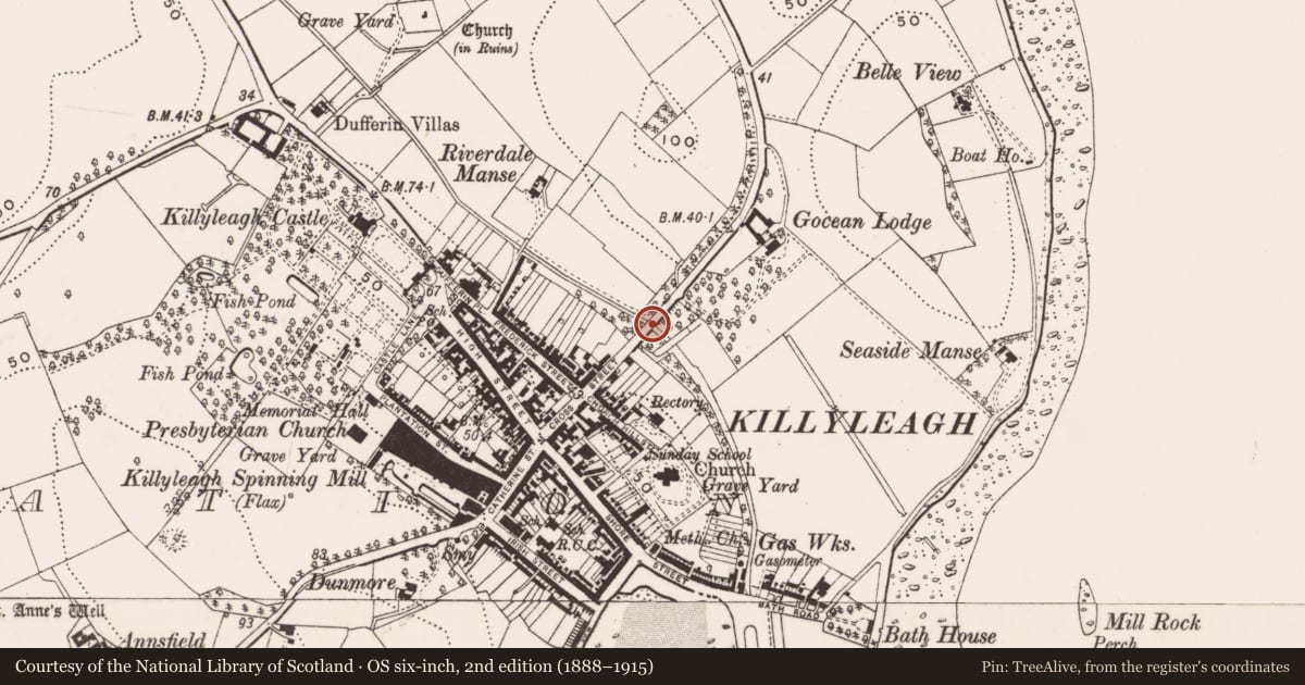 Ordnance Survey six-inch map, 2nd edition (1888–1915) covering the location of Cross St. Bridge, Newry, Mourne and Down, with a pin at the register's coordinates