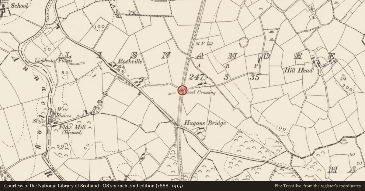 Ordnance Survey six-inch map, 2nd edition (1888–1915) covering the location of Railway arch, Lisnamore, Newry, Mourne and Down, with a pin at the register's coordinates