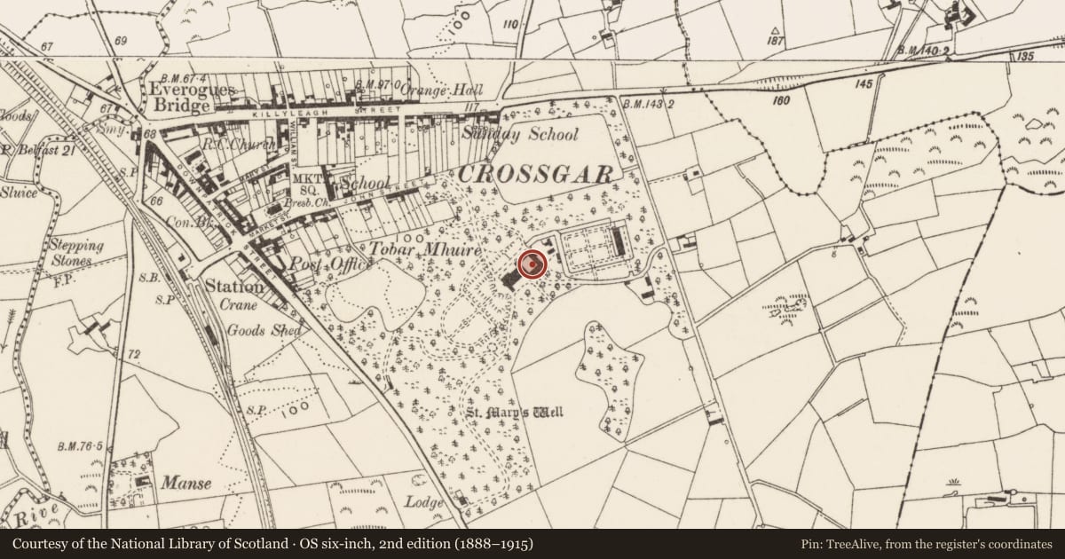 Ordnance Survey six-inch map, 2nd edition (1888–1915) covering the location of Tobar Mhuire, Crossgar, Newry, Mourne and Down, with a pin at the register's coordinates