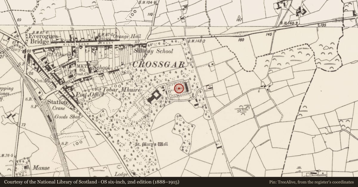 Ordnance Survey six-inch map, 2nd edition (1888–1915) covering the location of Conservatory and walled garden at Tobar Mhuire, Crossgar, Newry, Mourne and Down, with a pin at the register's coordinates