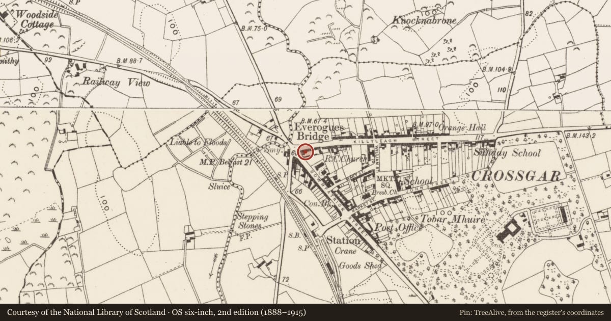 Ordnance Survey six-inch map, 2nd edition (1888–1915) covering the location of Community Centre, Crossgar, Newry, Mourne and Down, with a pin at the register's coordinates