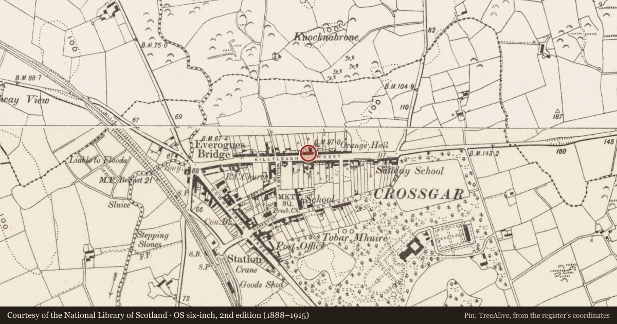 Ordnance Survey six-inch map, 2nd edition (1888–1915) covering the location of 48 Killyleagh Street, Crossgar, Newry, Mourne and Down, with a pin at the register's coordinates