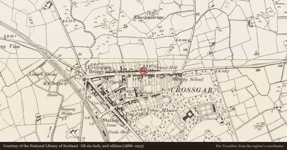 Ordnance Survey six-inch map, 2nd edition (1888–1915) covering the location of 52 Killyleagh Street, Crossgar, Newry, Mourne and Down, with a pin at the register's coordinates