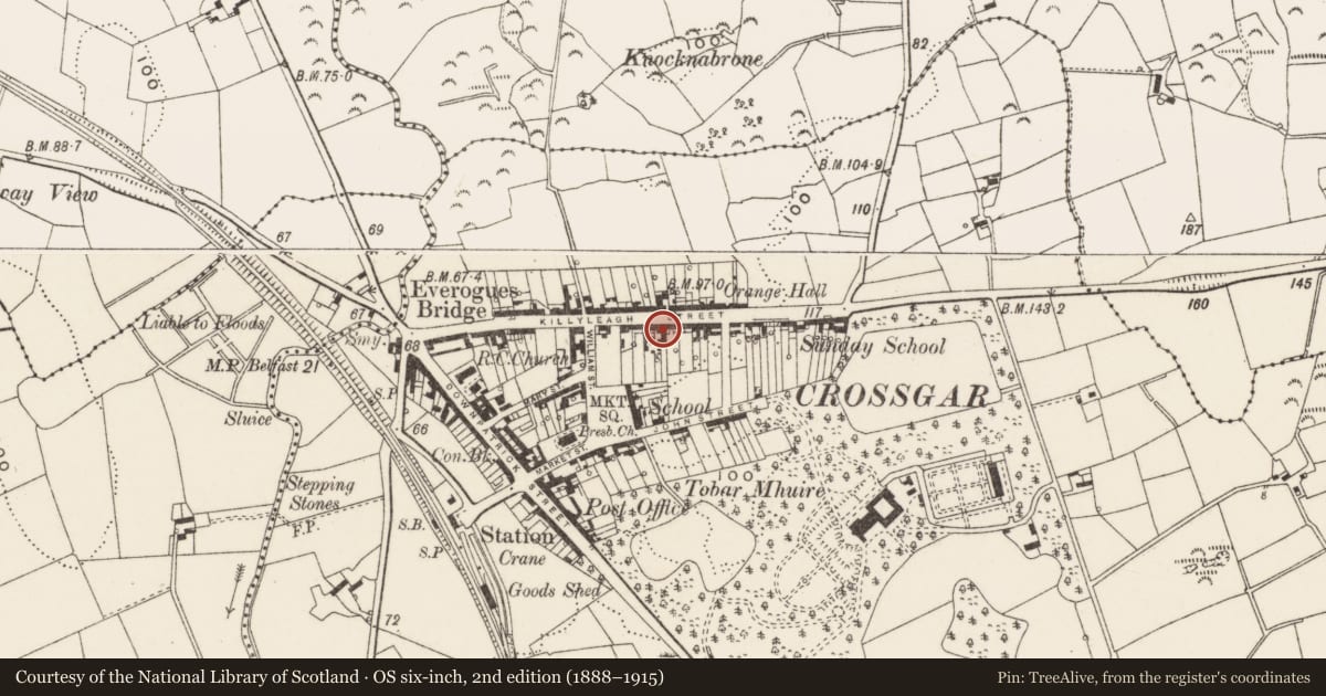 Ordnance Survey six-inch map, 2nd edition (1888–1915) covering the location of 47-53 Killyleagh Street, Crossgar, Newry, Mourne and Down, with a pin at the register's coordinates