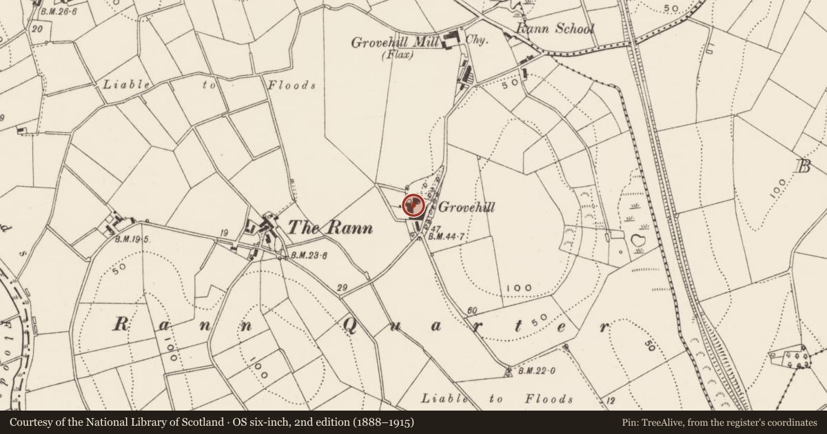 Ordnance Survey six-inch map, 2nd edition (1888–1915) covering the location of Grove Hill, Annacloy, Newry, Mourne and Down, with a pin at the register's coordinates