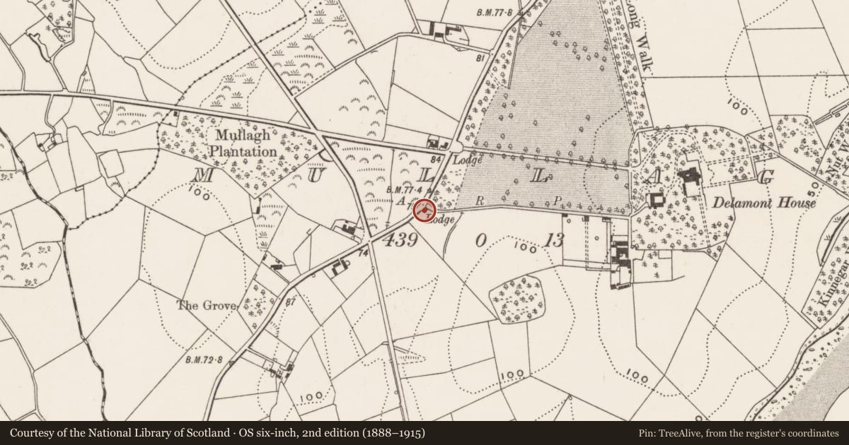 Ordnance Survey six-inch map, 2nd edition (1888–1915) covering the location of South gate lodge to Delamont House, Mullagh, Newry, Mourne and Down, with a pin at the register's coordinates