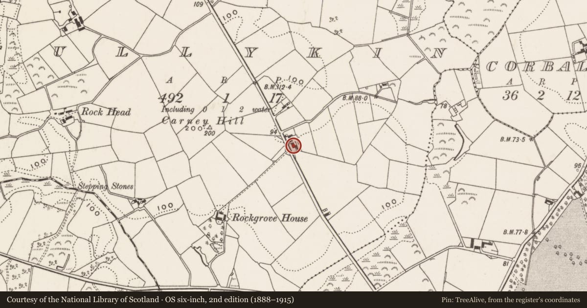 Ordnance Survey six-inch map, 2nd edition (1888–1915) covering the location of 40 Tullykin Road, Newry, Mourne and Down, with a pin at the register's coordinates